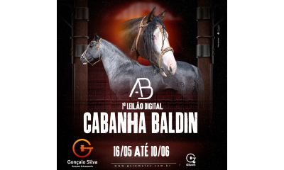1º LEILÃO DIGITAL CABANHA BALDIN