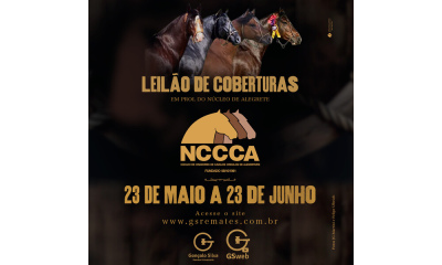 LEILÃO DE COBERTURA DO NCCC ALEGRETE
