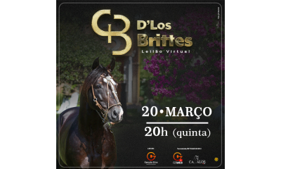 LEILÃO VIRTUAL CABANHA D"LOS BRITTES