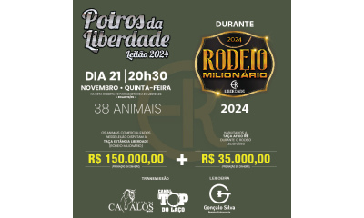 POTROS DA LIBERDADE 2024