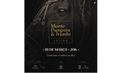 LEILÃO VIRTUAL CABANHAS MONTE PAMPERO & TRIUNFO 