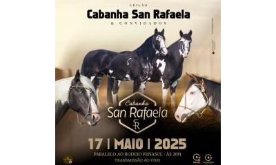 LEILÃO CABANHA SAN RAFAELA