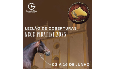 LEILÃO DE COBERTURAS NCCC PIRATINI 2025
