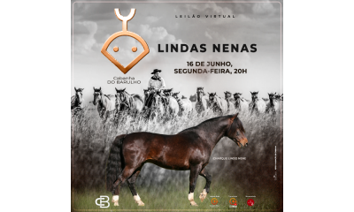 LEILÃO VIRTUAL LINDAS NENAS
