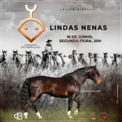 LEILÃO VIRTUAL LINDAS NENAS