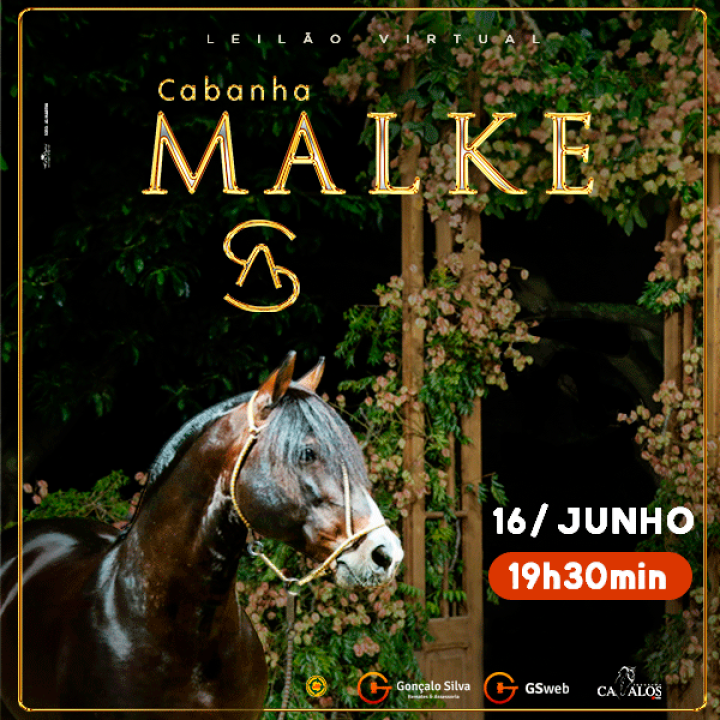 LEILÃO CABANHA MALKE