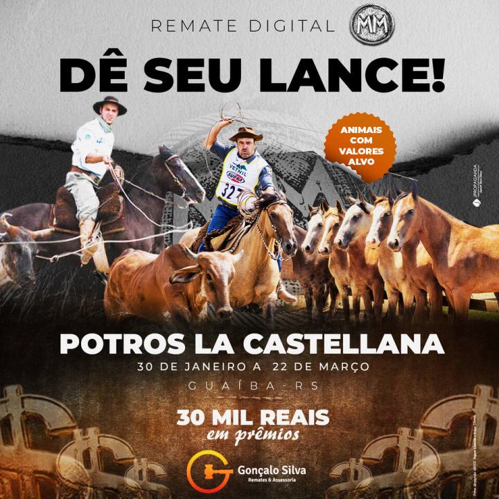 POTROS LA CASTELLANA
