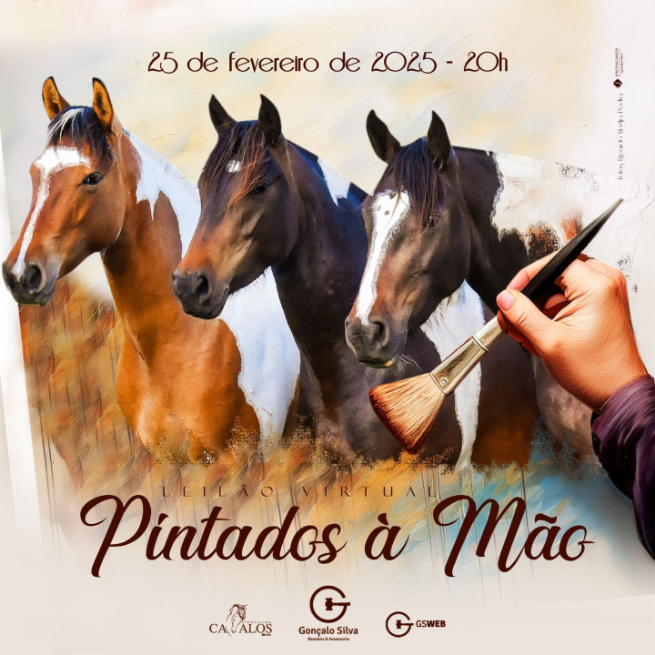 LEILÃO VIRTUAL PINTADOS A MÃO 2025