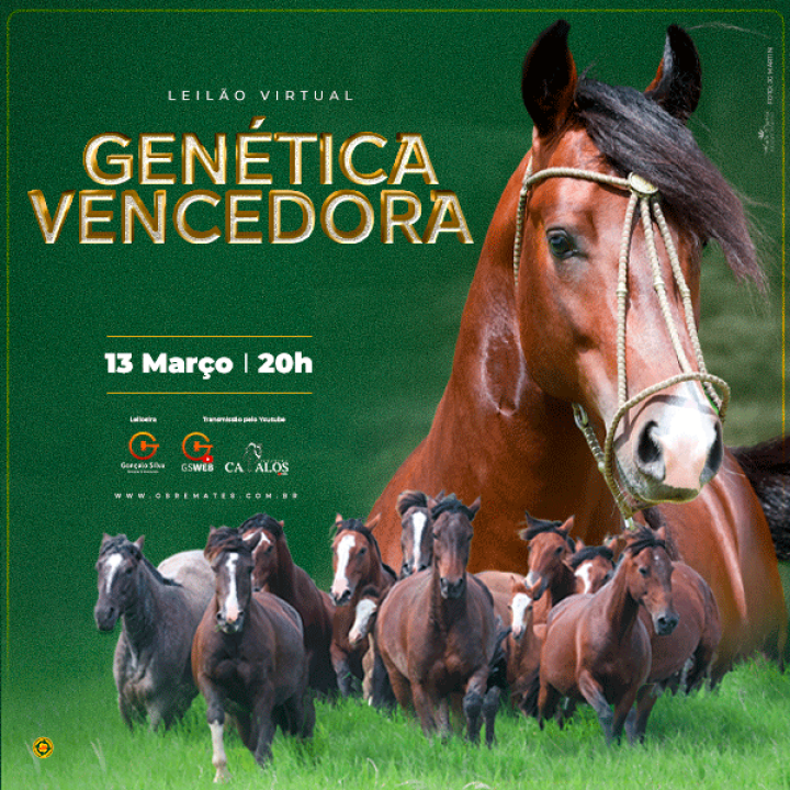LEILÃO VIRTUAL GENETICA VENCEDORA 2025