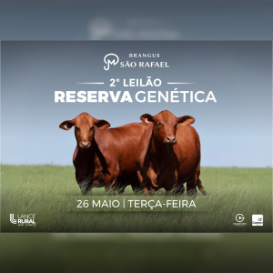 LEILÃO VIRTUAL BRANGUS SÃO RAFAEL 