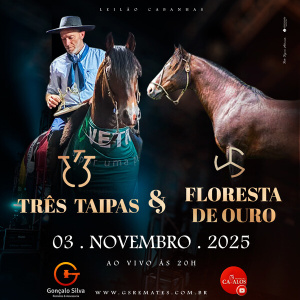 LEILÃO VIRTUAL TRÊS TAIPAS