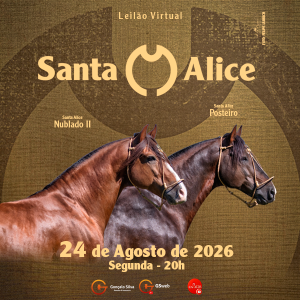 LEILÃO VIRTUAL CABANHA SANTA ALICE 