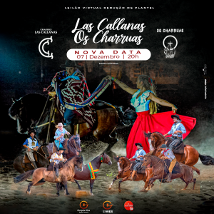 LEILÃO VIRTUAL CABANHA LAS CALLANAS & OS CHARRUAS 