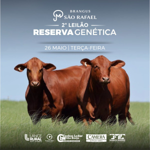 2º RESERVA GENÉTICA - BRANGUS SÃO RAFAEL 
