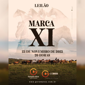 LEILÃO VIRTUAL MARCA ONZE