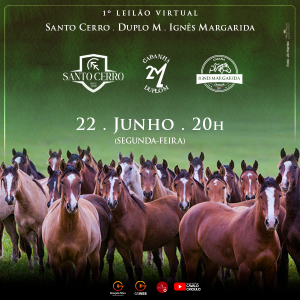 LEILÃO VIRTUAL CABANHAS SANTO CERRO, DUPLO M & CONVIDADOS