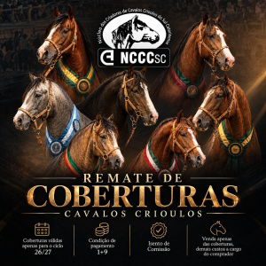 LEILÃO DIGITAL NCCC DO SUL CATARINENSE