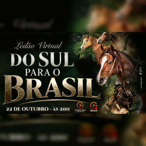 LEILÃO VIRTUAL DO SUL PARA O BRASIL