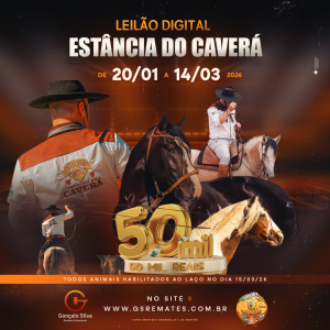 LEILÃO DIGITAL ESTÂNCIA DO CAVERÁ
