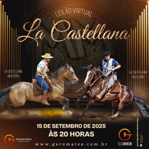 LEILÃO VIRTUAL CABANHA LA CASTELLANA
