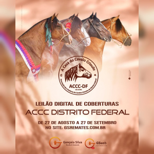 LEILÃO DIGITAL DE COBERTURAS ACCC DISTRITO FEDERAL