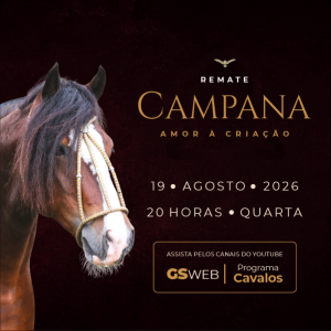 LEILÃO VIRTUAL CABANHA CAMPANA