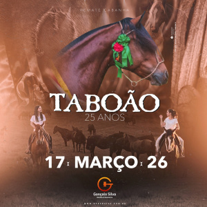 LEILÃO VIRTUAL CABANHA TABOÃO 25 ANOS 