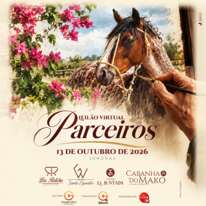 LEILÃO VIRTUAL PARCEIROS 