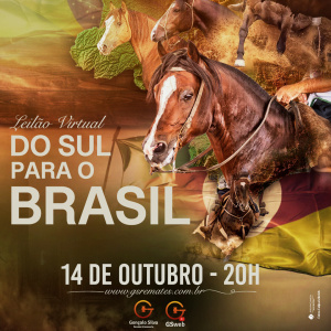 LEILÃO VIRTUAL DO SUL PARA O BRASIL 