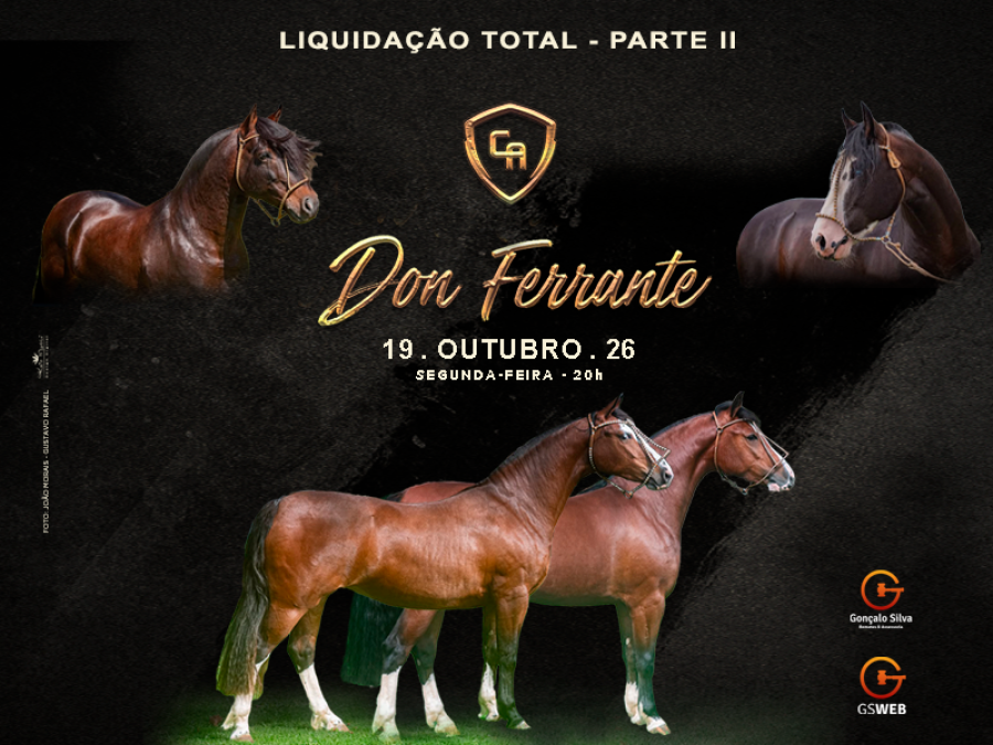 LEILÃO VIRTUAL CABANHA DON FERRANTE - Liquidação Total Parte 2 