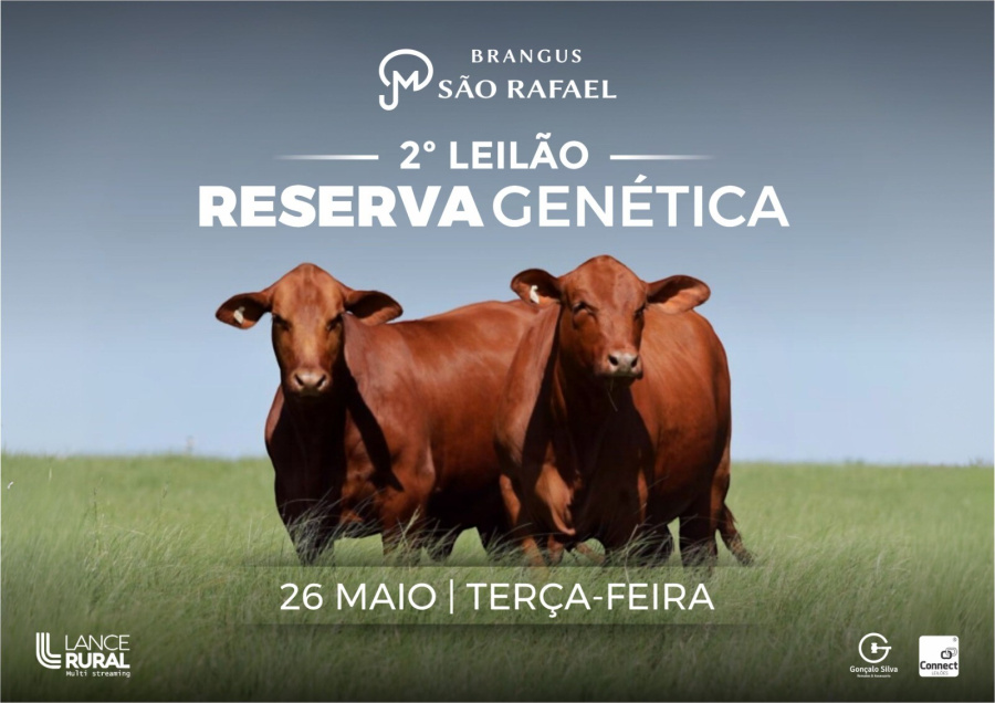 LEILÃO VIRTUAL BRANGUS SÃO RAFAEL 