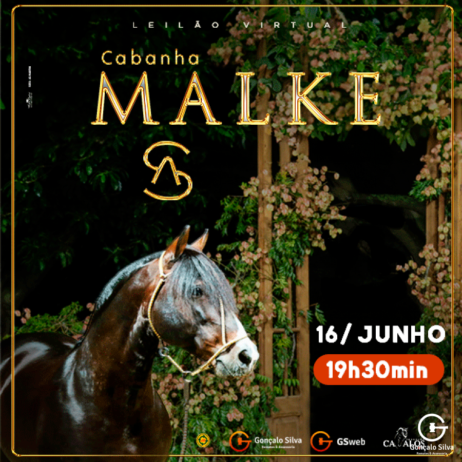 LEILÃO CABANHA MALKE