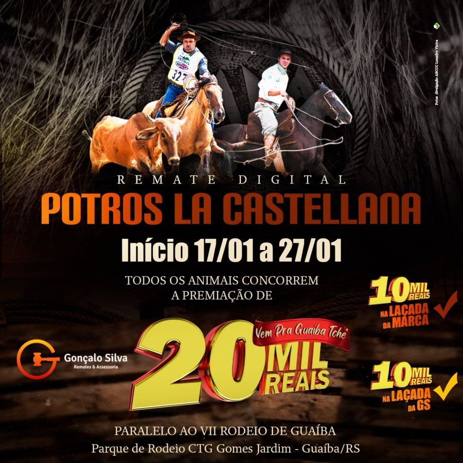 LEILÃO DIGITAL POTROS LA CASTELLANA
