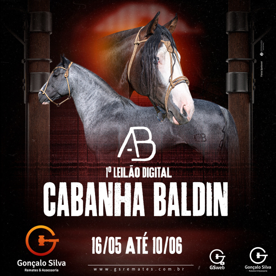 1º LEILÃO DIGITAL CABANHA BALDIN