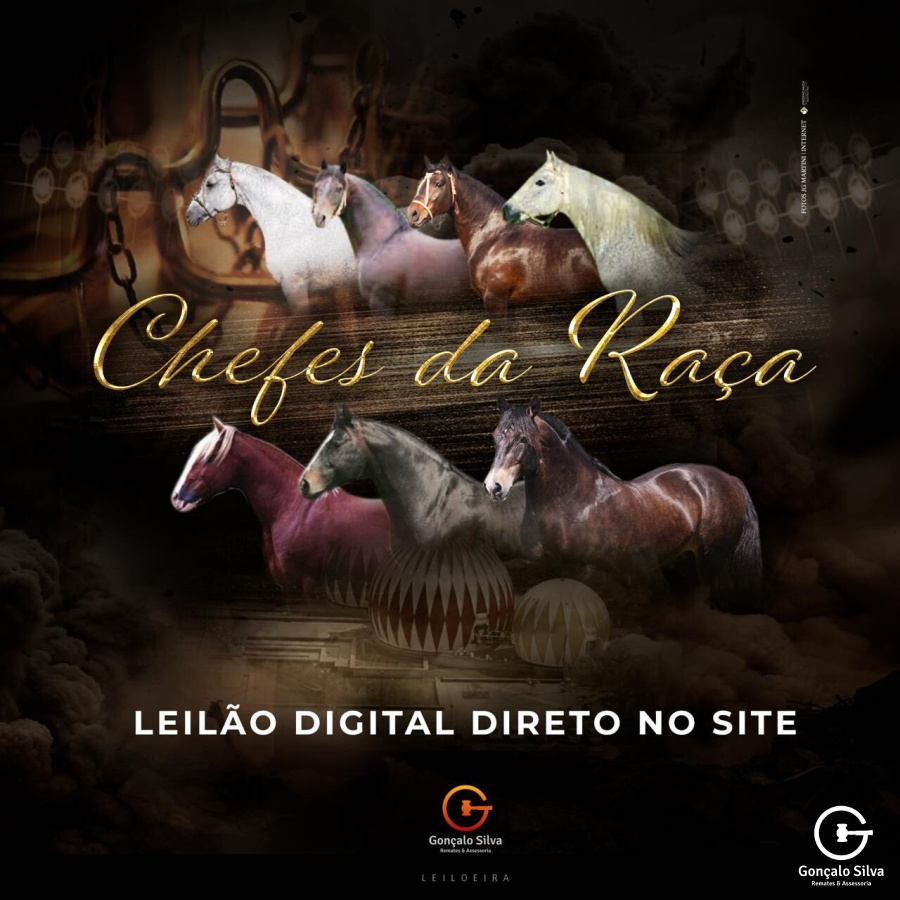 LEILÃO VIRTUAL CHEFE DE RAÇA
