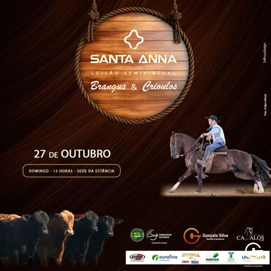 LEILÃO VIRTUAL ESTÂNCIA SANTA ANNA