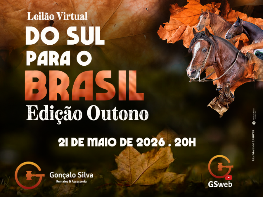 LEILÃO VIRTUAL DO SUL PARA O BRASIL