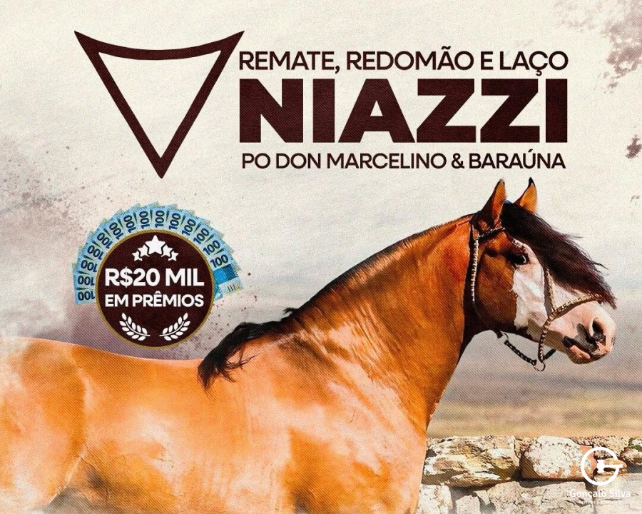 REMATE REDOMÃO E LAÇO - Niazzi, Don Marcelino e Baraúna