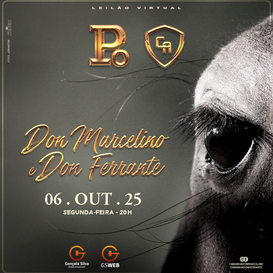 LEILÃO VIRTUAL DON MARCELINO & DON FERRANTE
