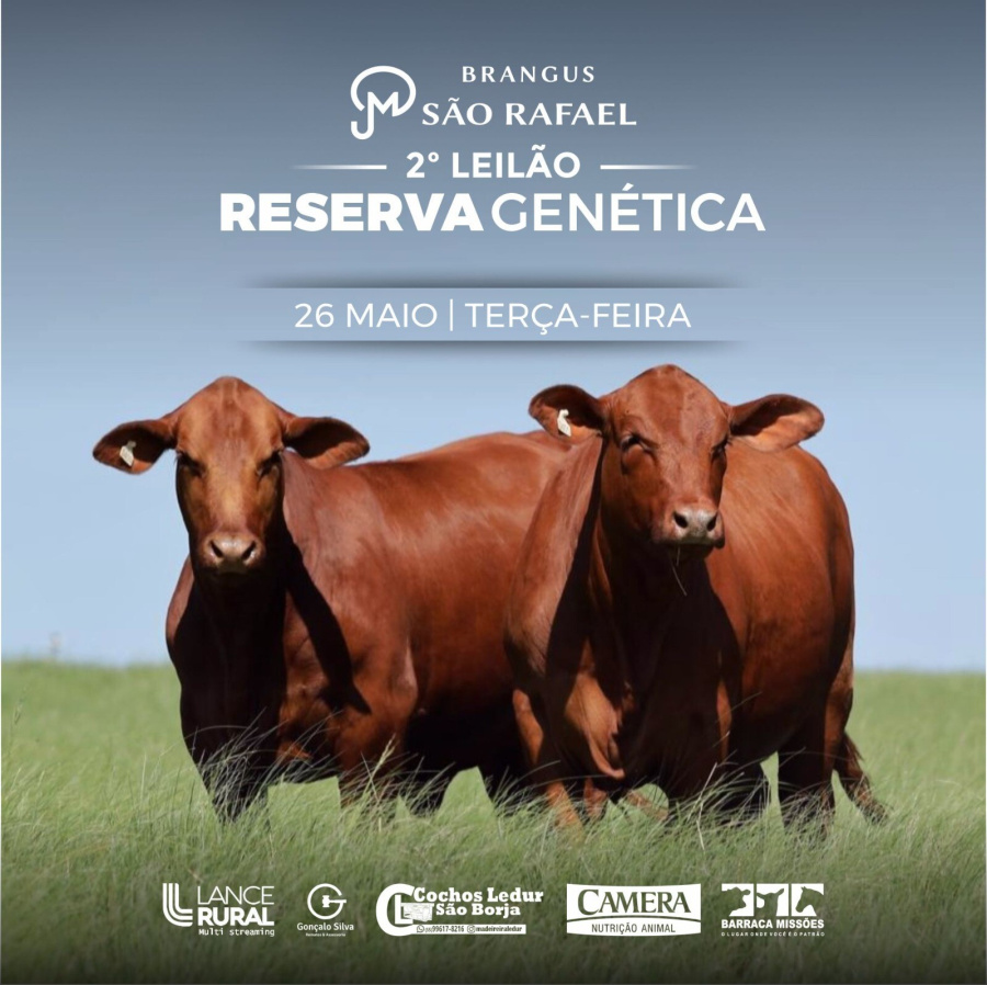 2º RESERVA GENÉTICA - BRANGUS SÃO RAFAEL 