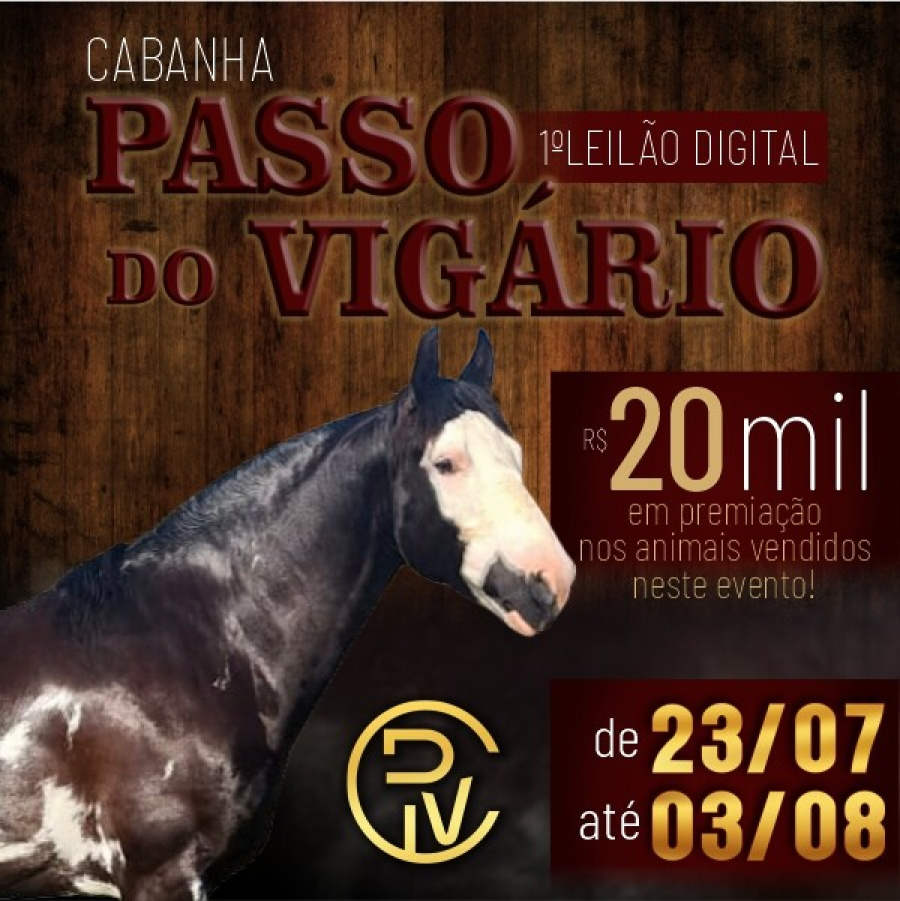 LEILÃO DIGITAL CABANHA PASSO DO VIGARIO
