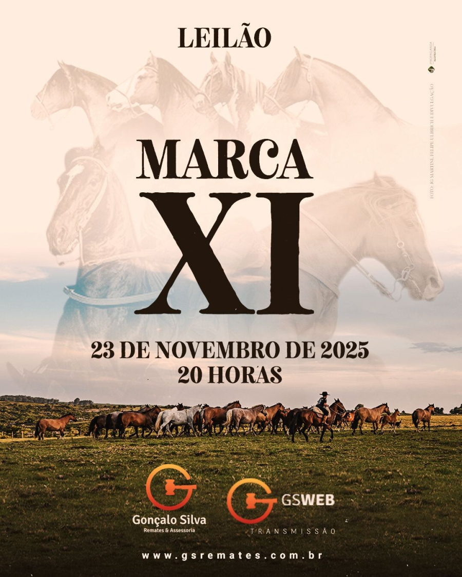 LEILÃO VIRTUAL MARCA ONZE