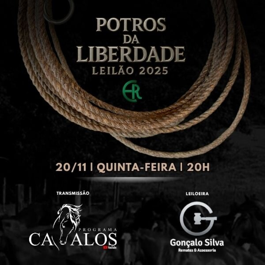 LEILÃO ESTÂNCIA LIBERDADE - RODEIO MILIONARIO 