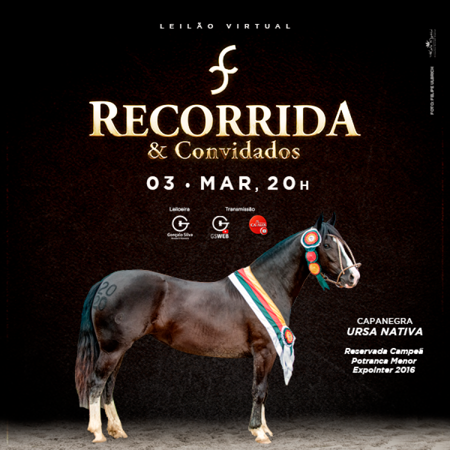 LEILÃO VIRTUAL CABANHA RECORRIDA