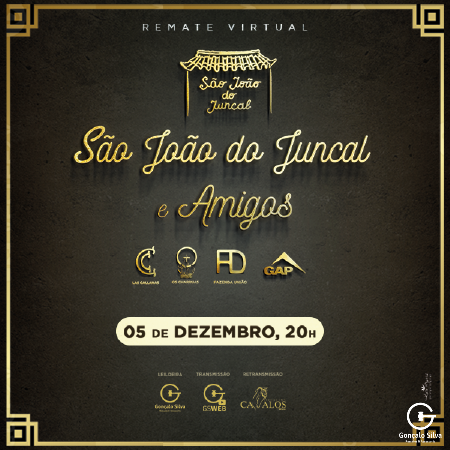 LEILÃO VIRTUAL SÃO JOÃO DO JUNCAL E AMIGOS