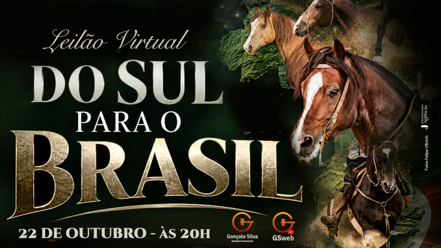 LEILÃO VIRTUAL DO SUL PARA O BRASIL