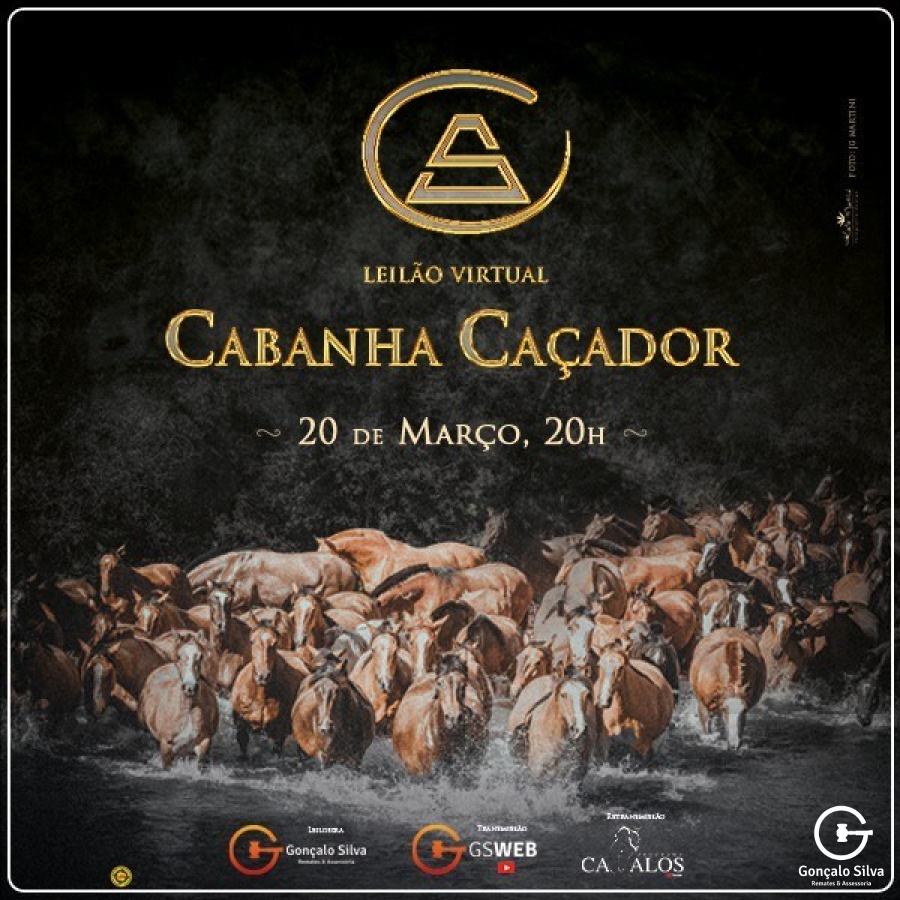 LEILÃO VIRTUAL CABANHA CAÇADOR 