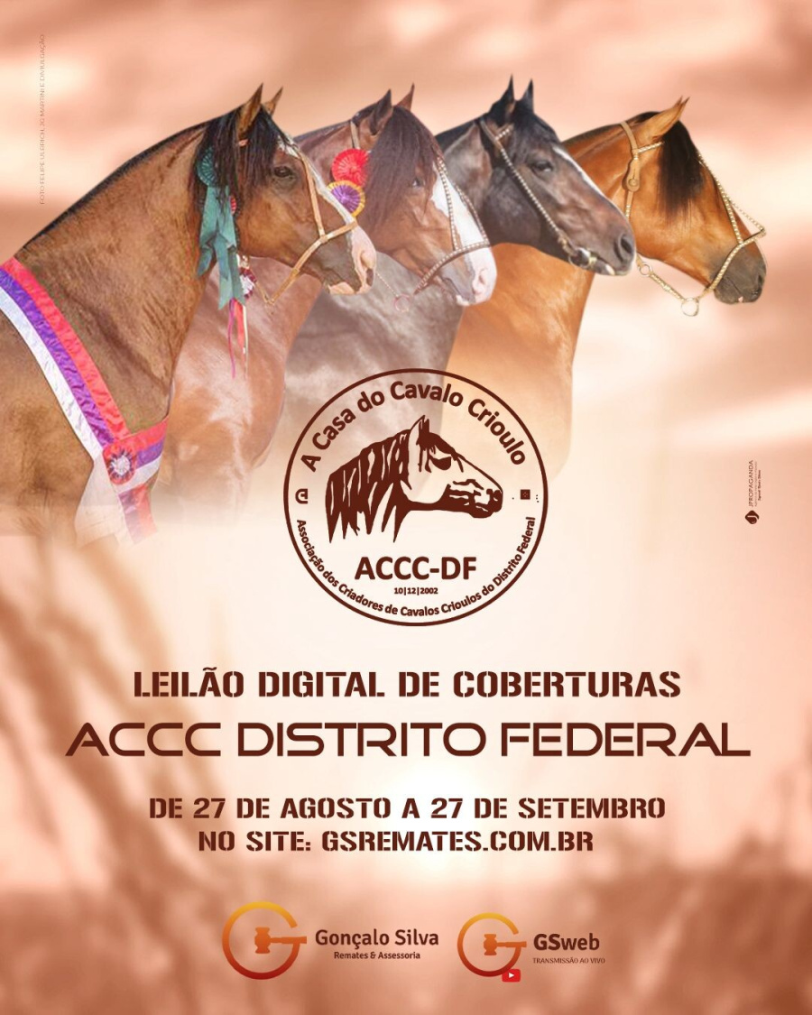LEILÃO DIGITAL DE COBERTURAS ACCC DISTRITO FEDERAL