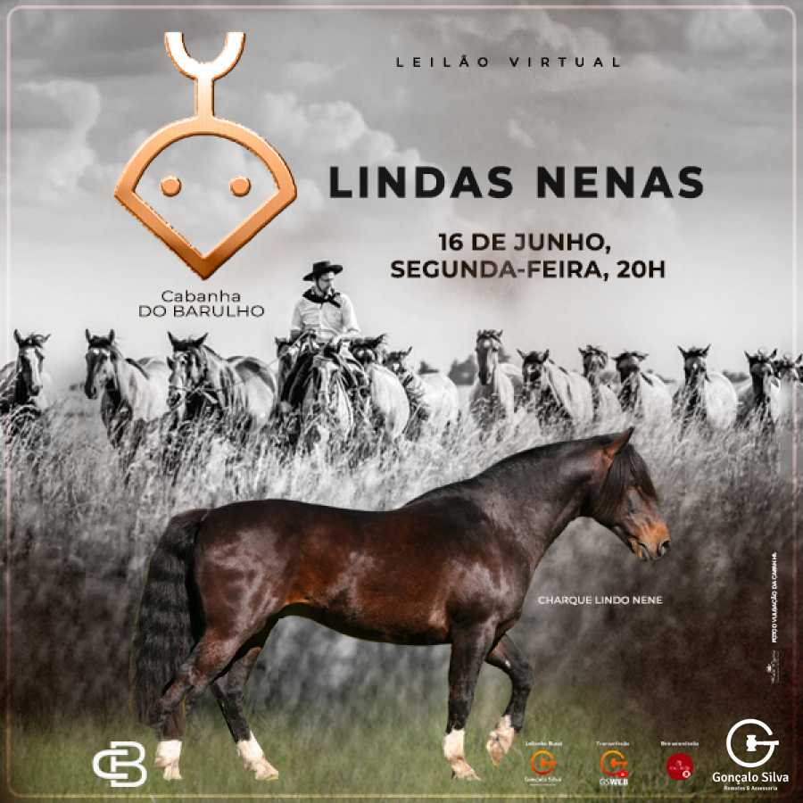 LEILÃO VIRTUAL LINDAS NENAS