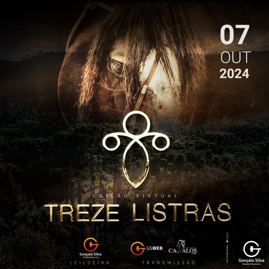 LEILÃO VIRTUAL TREZE LISTRAS
